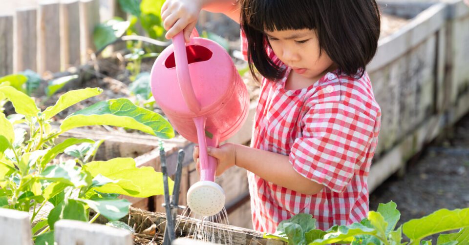 Kỹ năng sống là một trong 5 phần nội dung bắt buộc được dạy vào buổi hai