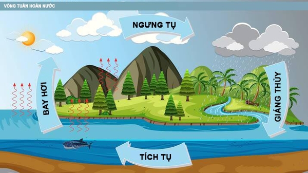 Chương II. Bài 26-27: Sự bay hơi và sự ngưng tụ