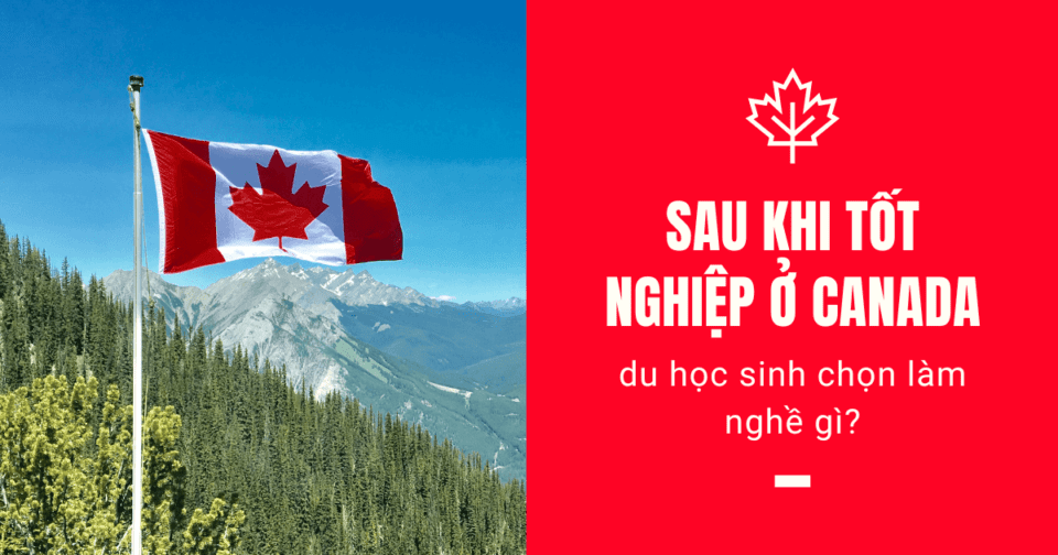 Sau khi tốt nghiệp ở Canada, du học sinh chọn làm nghề gì?