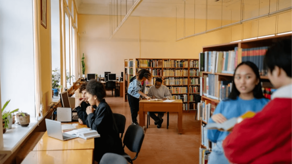 Sự khác biệt trong việc lựa chọn ngành nghề giữa các bậc học